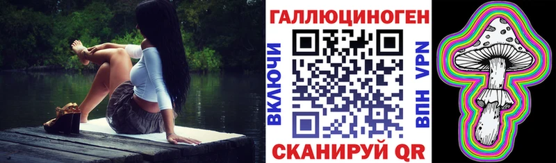 Галлюциногенные грибы Psilocybe  Нижневартовск 